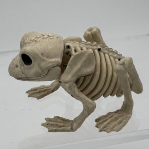 29015 Skeleton Frog plastic (1) (Large) (Small)